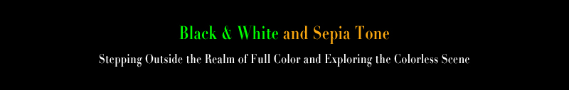 Black White & Sepia definition